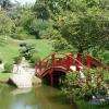 Jardin Japonais De Compans-caffarelli Toulouse