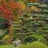Jardin Zen D'erik Borja Beaumont Monteux