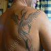 Tattoo Phoenix Tribal 
Sur Yanis