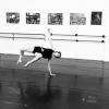 L'atelier De Danse - Cindy Spanu Carcassonne