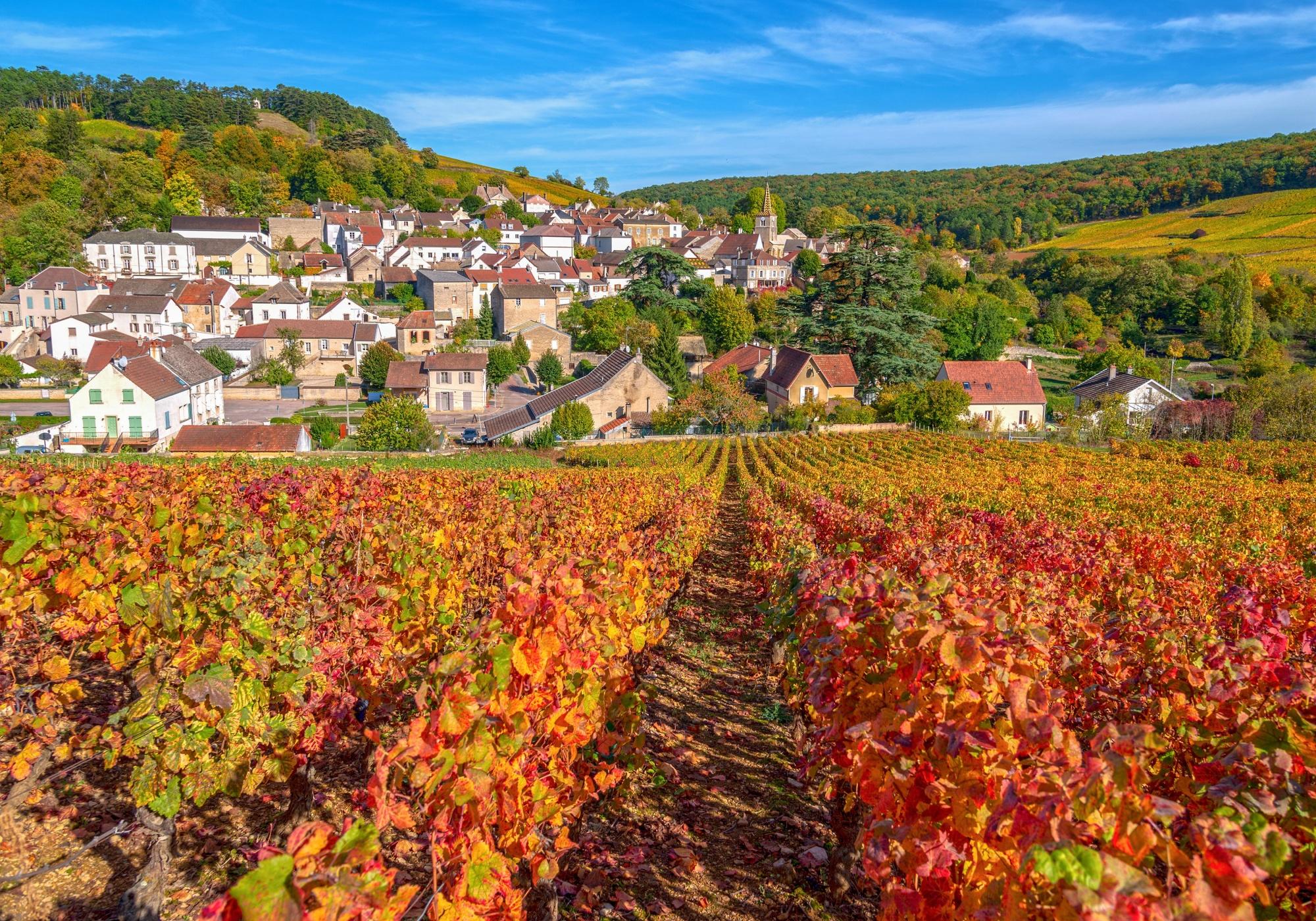 La Bourgogne Dijon