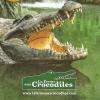 La Ferme Aux Crocodiles Pierrelatte