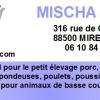 La Lapiniere - Sarl Mischa Mirecourt
