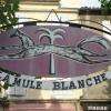 Mule Blanche Arles