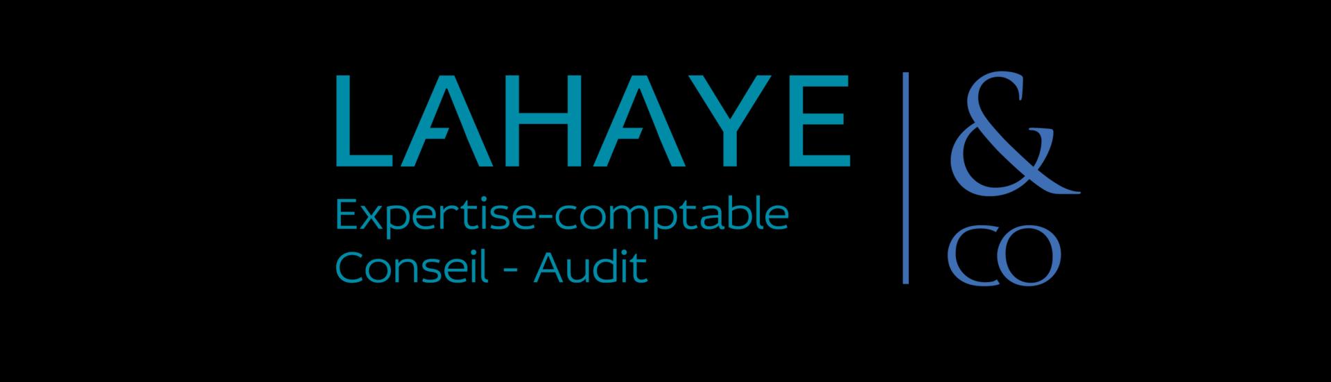 Lahaye & Co Saint Etienne