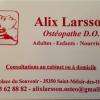 Larsson Alix Saint Méloir Des Ondes