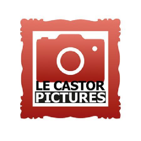 Le Castor Pictures Chaumont