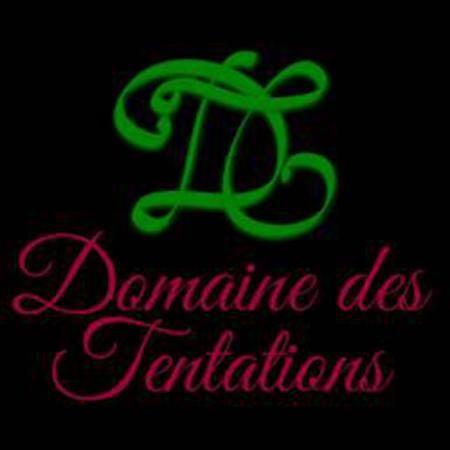 Le Domaine Des Tentations Gradignan