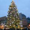 Le Grand Sapin De Noël De Strasbourg Strasbourg