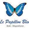 Le Papillon Bleu Firminy