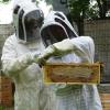 Le Rucher De Leaya | Initiation & Formation à L'apiculture