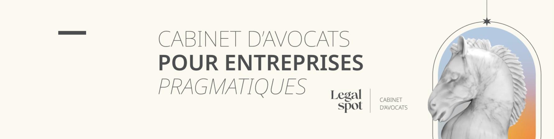 Legal Spot Avocat - Droit Affaires,  Numerique, Propriete Intellectuelle, Rgpd Roubaix