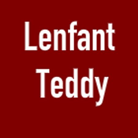 Lenfant Teddy Cléry Saint André