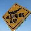 Alligator Bay Beauvoir