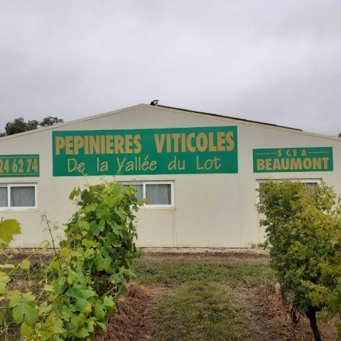 Les Pepinieres Viticoles De La Vallee Du Lot Vire Sur Lot