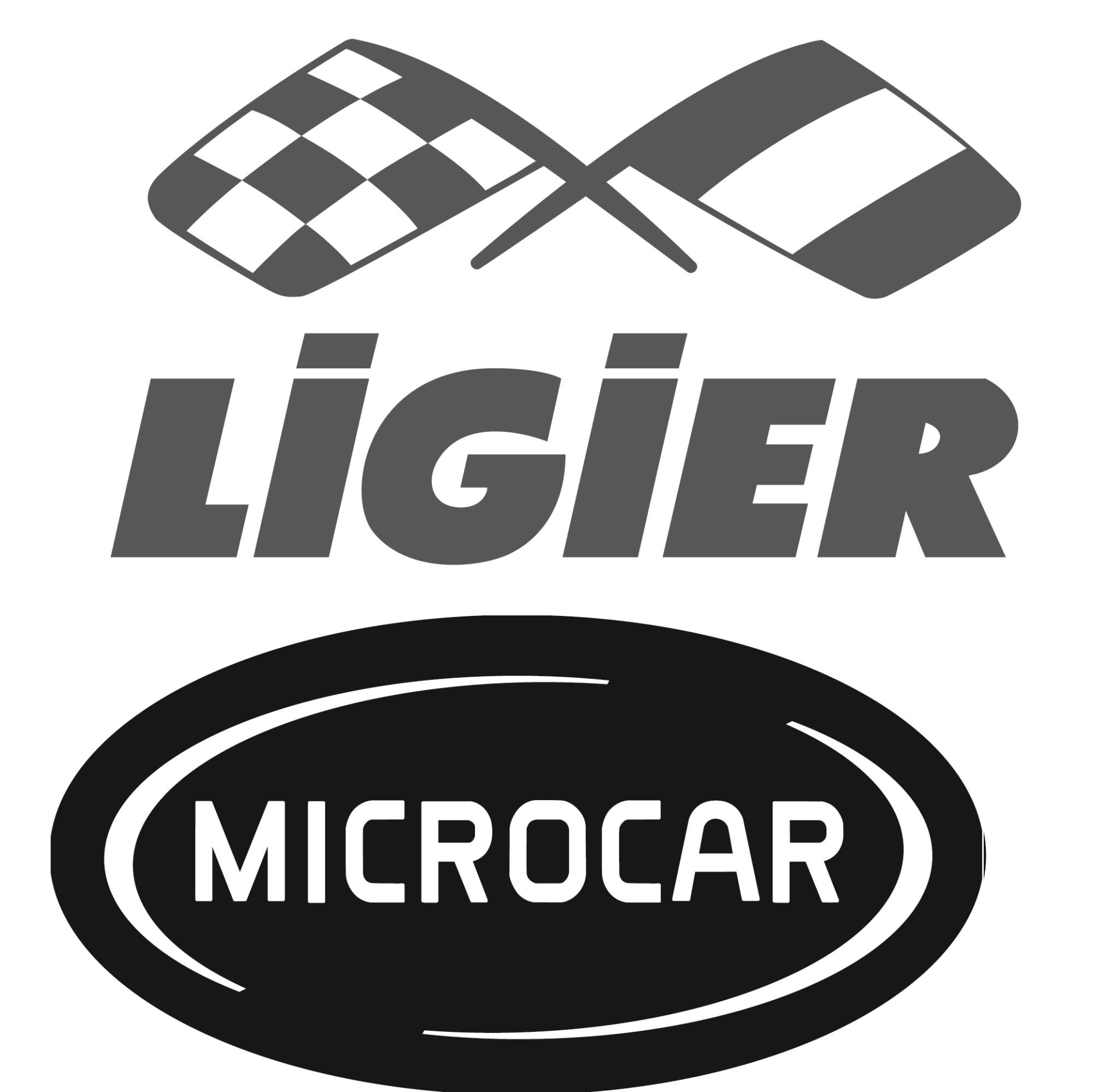 Ligier Groupe Maisons Alfort