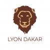 Lyon Dakar Lyon