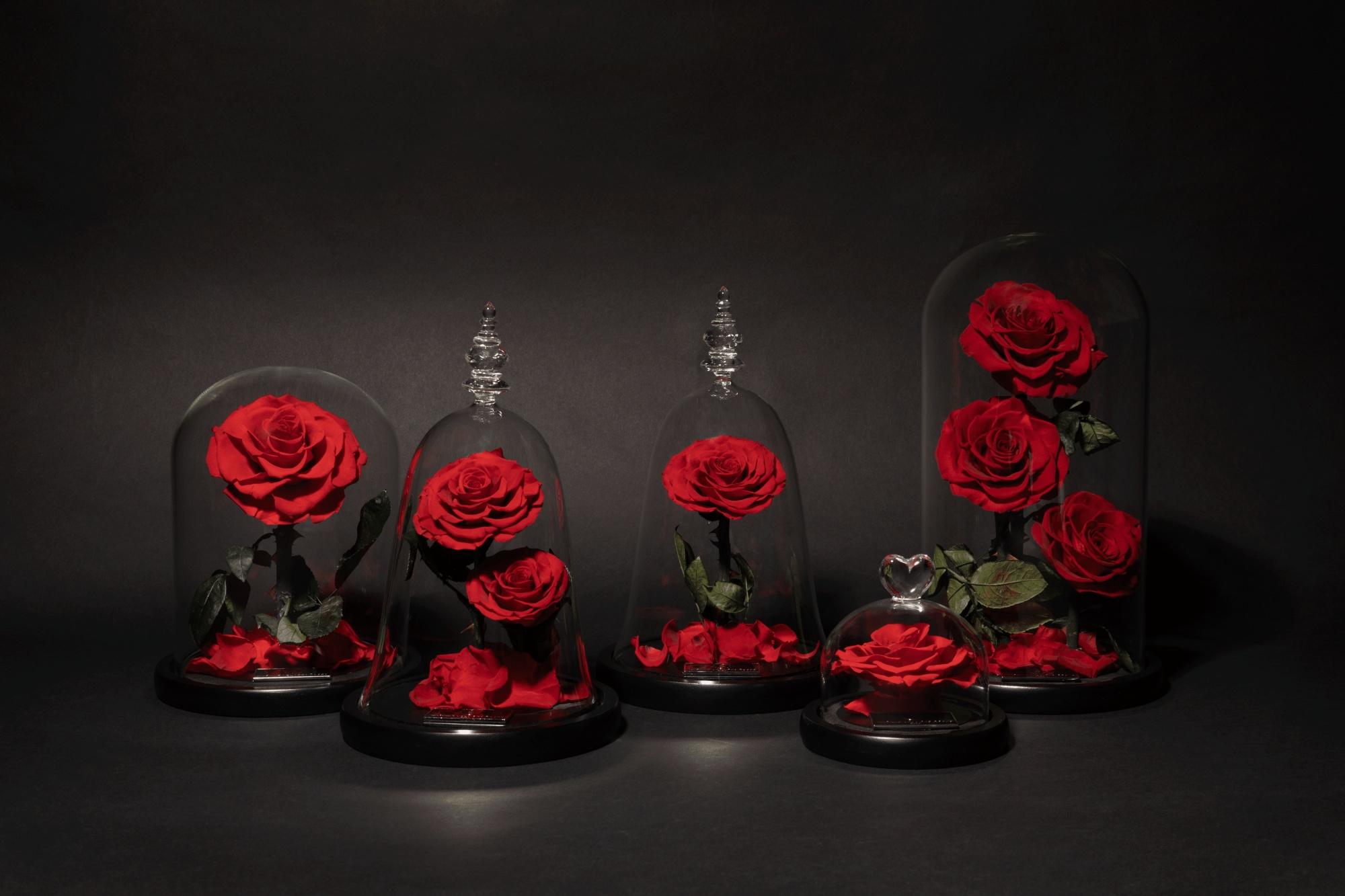 Madame Veut Des Roses - Livraison De Roses éternelles Ivry Sur Seine