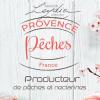 Provence Peches