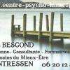 Carte De Visite Marlène Bescond Psycho-energeticienne, Formatrice Et Consultante