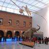Muséum D'histoire Naturelle Toulouse