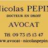 Nicolas Pepin Salon De Provence