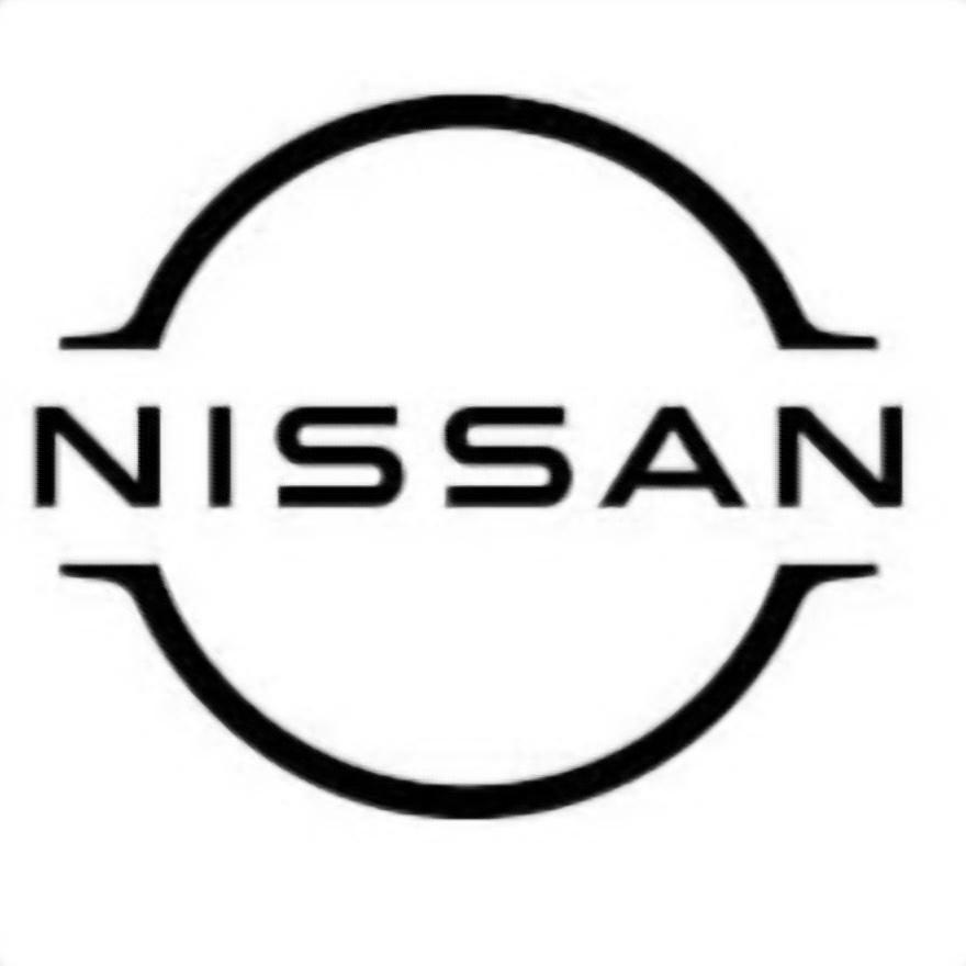 Nissan Pamiers