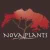 Nova Plants Chatte