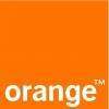 Orange Royan