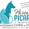 Pascale Picard Comportement Chat Chien Noisy Le Grand