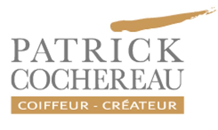 Patrick Cochereau Saint Martin Des Champs