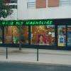 Pharmacie Des Magnolias Mèze