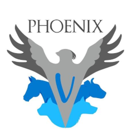 Phoenix Clinique Vétérinaire Chasseneuil Sur Bonnieure