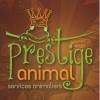 Prestige Animal Saint Jean De Braye