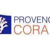Provence Corail - Achat Coraux Marseille