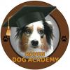 Raven Dog Academy Launaguet