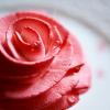 rose - Ganache Montée à La Rose / Compotée Pamplemousse / Sorbet Framboise