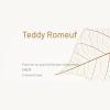 Romeuf Teddy Chantilly