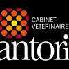 Santoria Cabinet Vét. De L'estuaire Honfleur