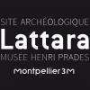 Site Archéologique Lattara  Lattes