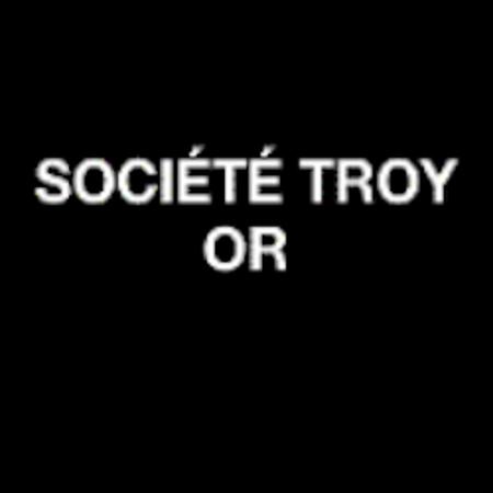 Société Troy Or Troyes
