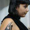 Tatouage Tribal Avec Une Rose En Couleur Réalisé Par Serge Tattoo Evolution Perpignan . Tatoueur Depuis 1984