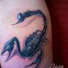Scorpion Freehand Tattoo