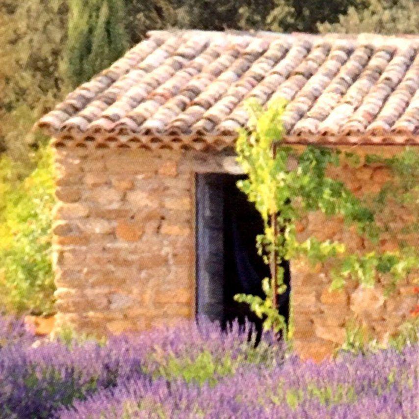 Terre De Provence Noves