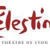 Théâtre Des Celestins Lyon