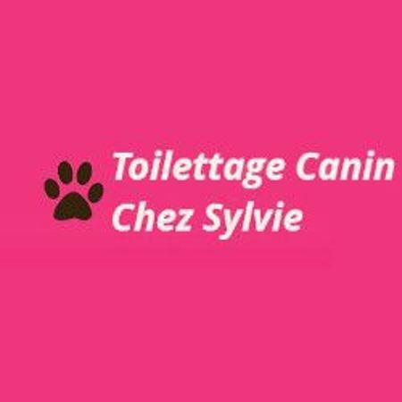 Toilettage Canin Chez Sylvie Caudan