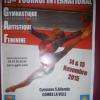 Tournoi International De Gymnastique Combs La Ville