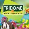 Tridôme Narbonne