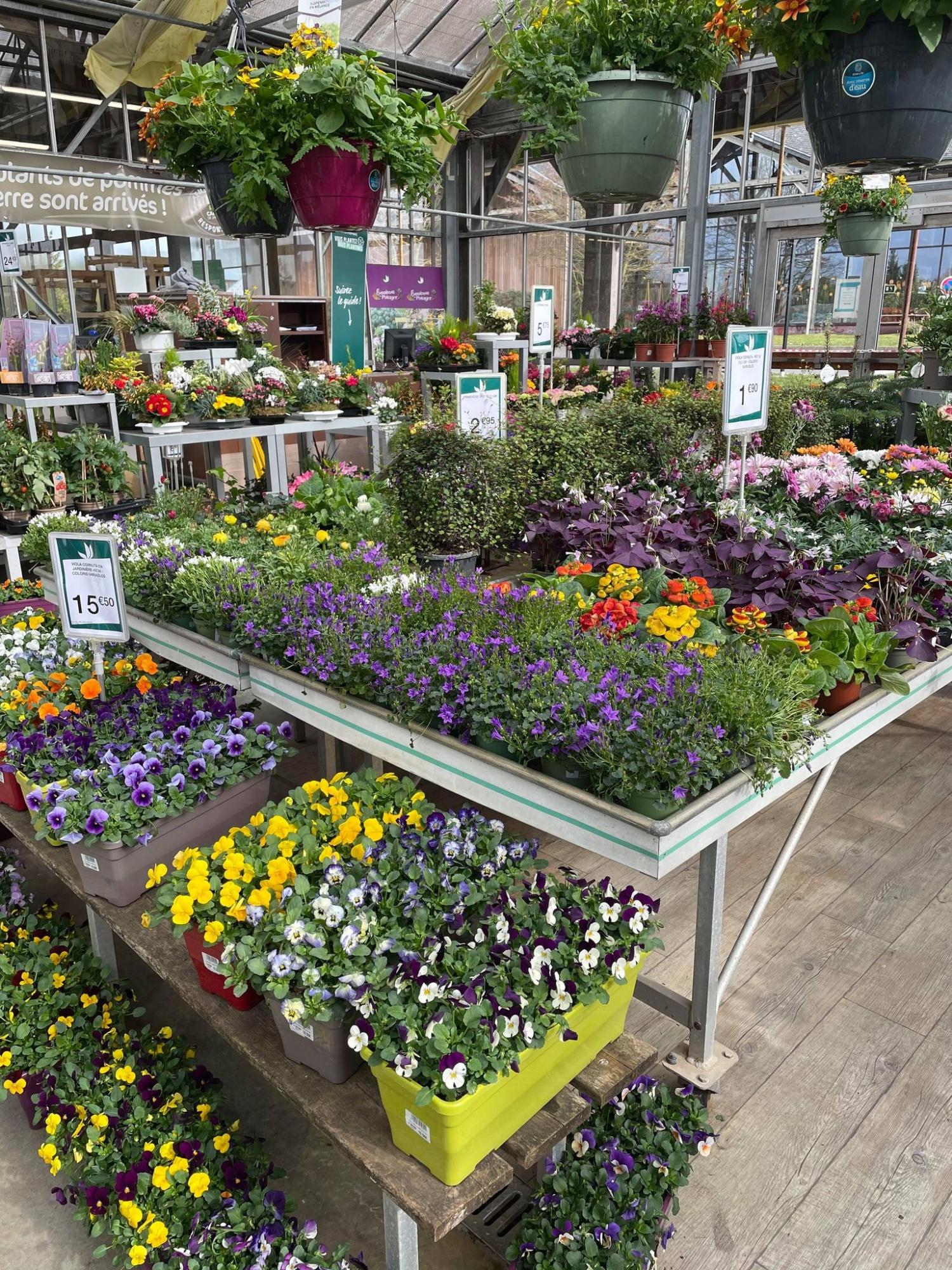 Truffaut Jardinerie Saint Jouan Des Guérets 35430 (adresse, horaire