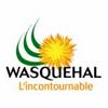 Wasquehal Wasquehal